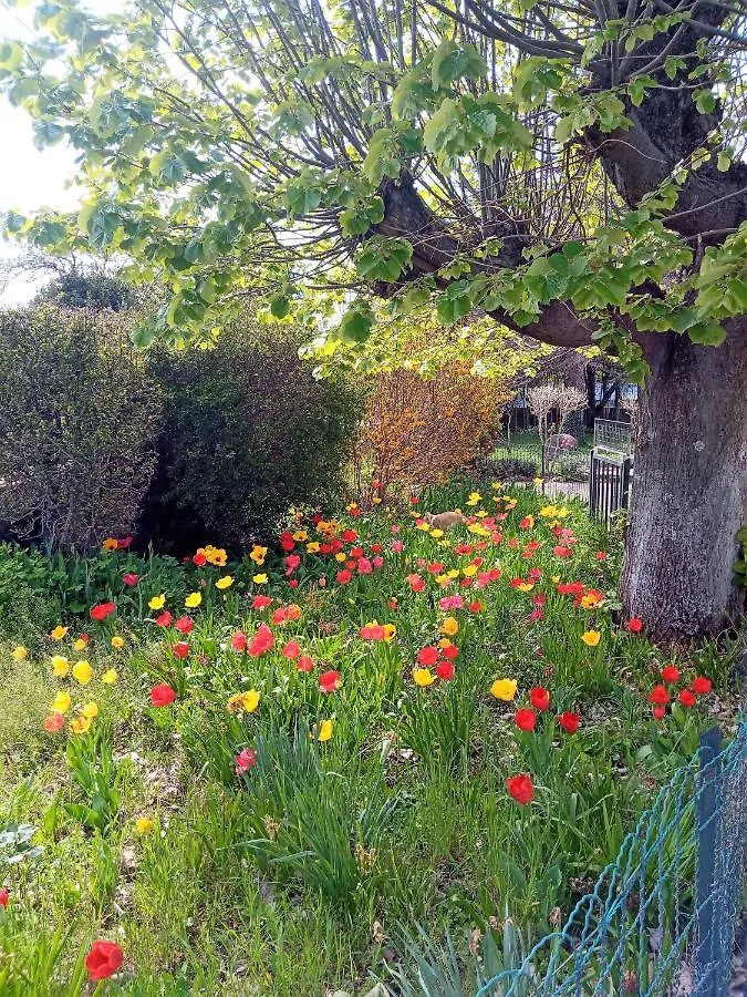 Rosalie Cottage Beaurepaire  0*, Beaurepaire (Isere)