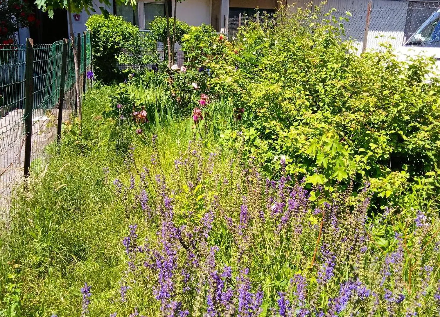 Apartment Rosalie Cottage Beaurepaire